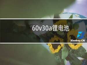 60v30a锂电池