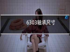 6303轴承尺寸