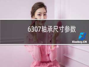 6307轴承尺寸参数