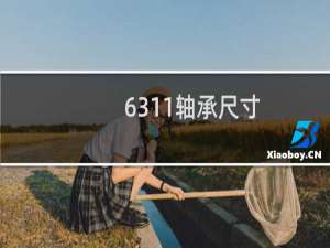 6311轴承尺寸
