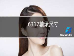 6317轴承尺寸
