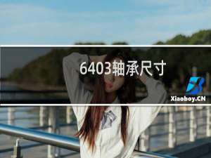6403轴承尺寸