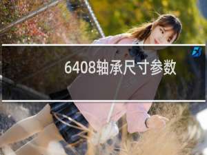 6408轴承尺寸参数