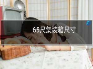 65尺集装箱尺寸