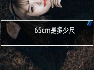 65cm是多少尺