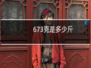 673克是多少斤