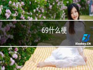 69什么梗？什么梗