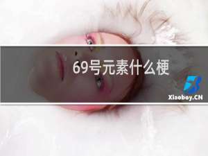 69号元素什么梗