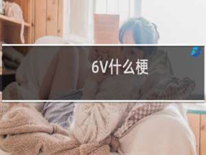 6V什么梗