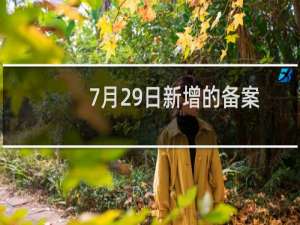 7月29日新增的备案，目前还在第一步提交审核，是有什么需要修