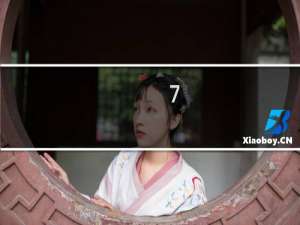 7-acca价格