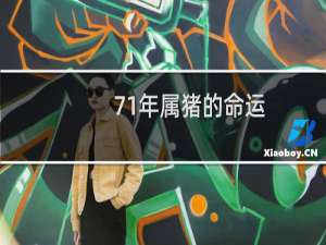 71年属猪的命运