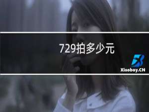 729拍多少元