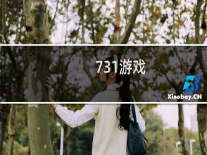 731游戏