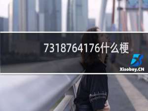 7318764176什么梗