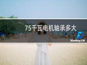 75千瓦电机轴承多大