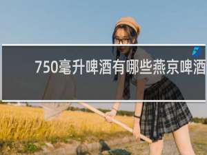 750毫升啤酒有哪些燕京啤酒