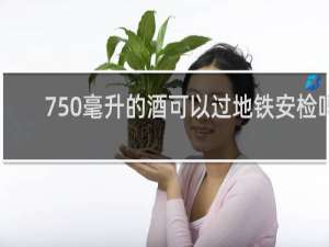 750毫升的酒可以过地铁安检吗