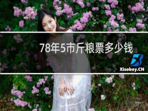 78年5市斤粮票多少钱