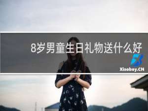 8岁男童生日礼物送什么好