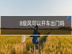 8级风可以开车出门吗（八级风可以出门吗）