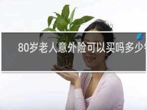 80岁老人意外险可以买吗多少钱