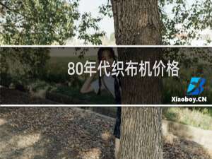 80年代织布机价格