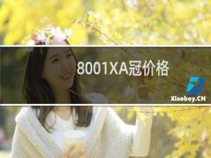 8001XA冠价格