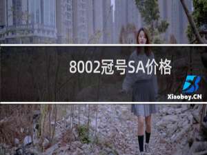 8002冠号SA价格