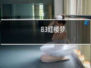83红楼梦