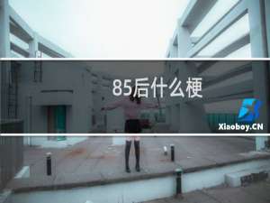 85后什么梗