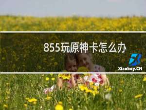 855玩原神卡怎么办