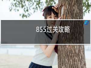 855过关攻略