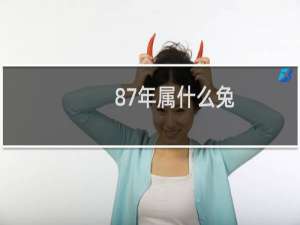 87年属什么兔