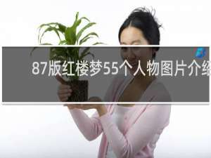 87版红楼梦55个人物图片介绍