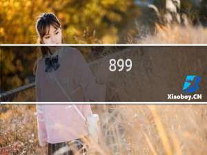 899.pw续费价格与宣传价格不同