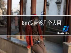 8m宽带够几个人用
