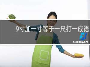 9寸加一寸等于一尺打一成语
