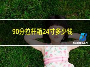 90分拉杆箱24寸多少钱