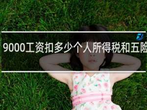 9000工资扣多少个人所得税和五险一金