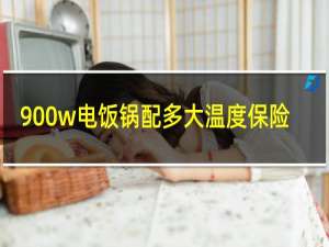 900w电饭锅配多大温度保险
