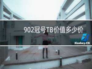 902冠号TB价值多少价