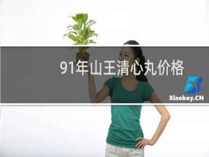 91年山王清心丸价格