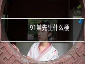 91某先生什么梗
