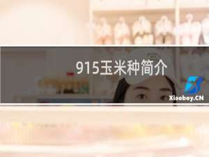 915玉米种简介（9158网站）