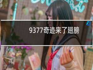 9377奇迹来了翅膀进阶日优惠活动的玩法