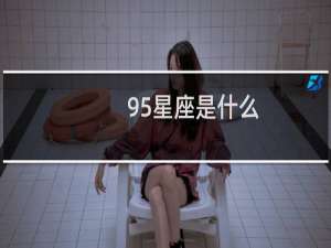 95星座是什么