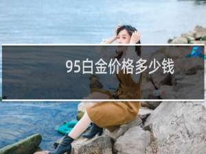 95白金价格多少钱