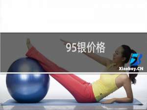 95银价格
