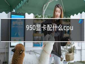 950显卡配什么cpu